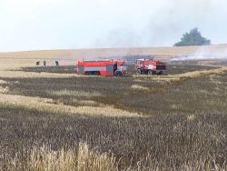 Pták zapálil pole soukromým zemědělcům na Opavsku - zvětšit fotografii