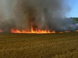 Od zadřeného ložiska shořel kombajn - zvětšit fotografii