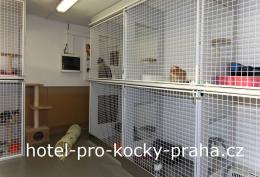 Hotel pro kočky - Kočka na dovolené