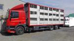 DAF FAR 85 CF 430 AST 2000