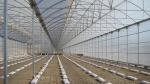 Sell and construction of greenhouses / prodej a výstavba skleníků